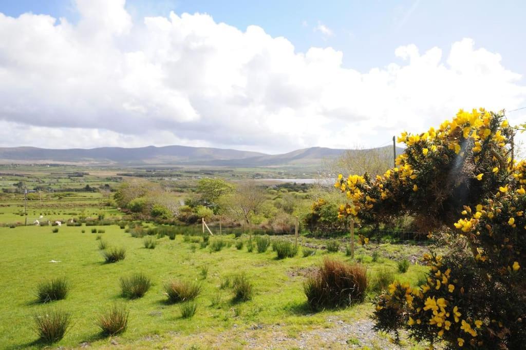 Cottage Skelligs Coast, Ring Of Kerry Cahersiveen Exteriör bild